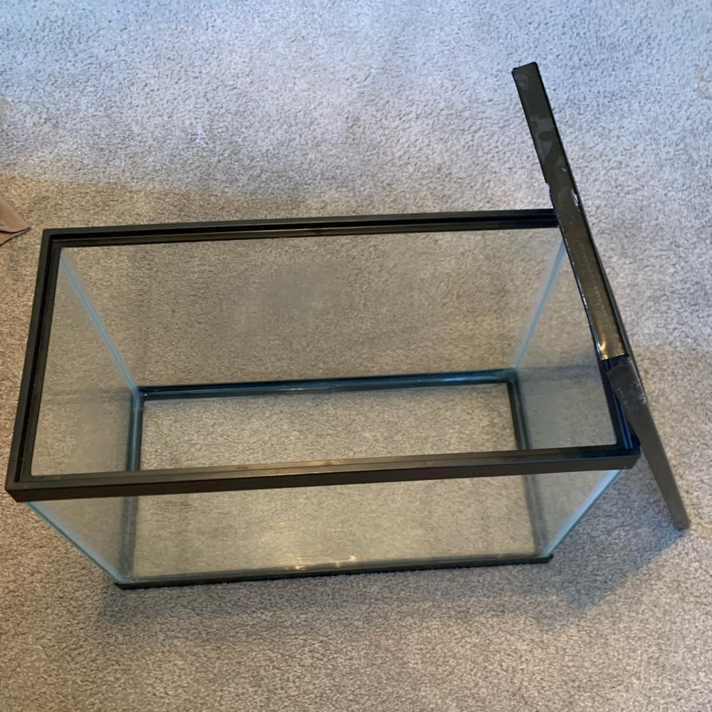Large reptile Tank